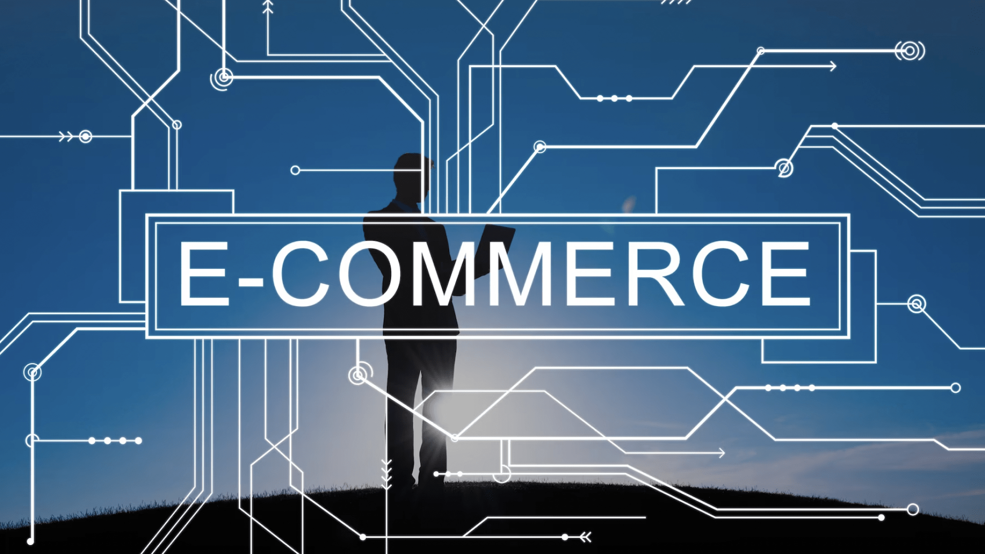 ecommerce price monitoring
